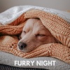 Music for Calming Dogs - Furry Night