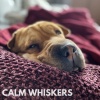 Music for Leaving Dogs Home Alone - Calm Whiskers