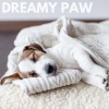 Music for Leaving Dogs Home Alone - Dreamy Paw