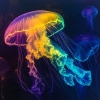 Musica Relajante、Músicas Para Relaxar、Canciones Infantiles Para Niños - Undersea PeacefulMeditation Underwater92