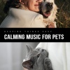 Calming Music For Pets - Organised Sound