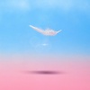 Anori - Soormiuna