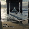 Marc Beasley - Wish