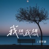洪平源 - 我想我想