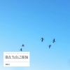 鞠琳洁 - 谁在为自己烦恼 (Live)