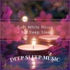 Deep Sleep Music - Sleep Sanctuary Ambience with Balanced Tones for Mind Rest