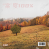 王若伊 - 萱草花