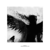 mis4ortune、ZippiE - chôn vùi (memories & feelings)(Explicit)