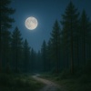 Baltic Nature Sounds、Natural Sounds、Sleep Music Lullabies - Path Above The Trees