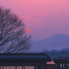 太也是子 - 你说什么都是对的
