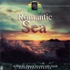 John St. John - Seabirds