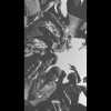 The Wave Mw - Rage (Explicit)