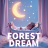 RAJA - Forest Dream