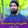 حیات الله متوکل - ډیر ګنهګاریم