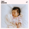 Baby Sleep Zone、BabySleepDreams、Calm Lullabies Universe、Little Star Lullabies - Sleeping Petals