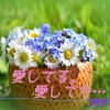 YYYY - 愛してる。愛してた…