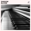 Relaxing Piano、Piano Music Café、Romantic Piano Music Universe、Classical Piano Dreams - Crystal Droplets
