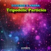 Sixsense、Ambra、Synchromatrix - Dynamic Fields (feat. Ambra & Synchromatrix)