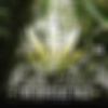 D.J.Funky、Dj Buu、DJ Daz、Slice 9、Ku4Real - I'm Smokin (Explicit)