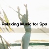 Nature Sounds Relaxation: Music for Sleep, Meditation, Massage Therapy, Spa、Meditationsmusik Sammlung、Sauna Spa Paradise - Inner Light Flow