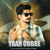JUNGLI - Yaar Cobre