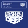 Demarkus Lewis、DJ Lady D - A Deep-Felt Love