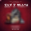 Kayy Luciano、DuckFamBoa - Say 2 Much (feat. DuckFamBoa)(Explicit)