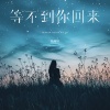 杨瑜婷 - 等不到你回来