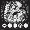 Solko - Dog