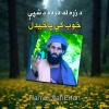Hamd Ullah Erfan - پروت دی په دشته