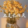 晚月moon - 又是艳阳天 (抒情版)