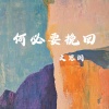 文思闵 - 何必要挽回