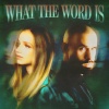 Jackie Hollander、Baby Bash、Malóne - What The Word Is