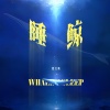 夏文婧 - 睡鲸
