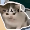 初生 - GOGOGO上课咯