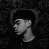 Angel V - La Del Insta