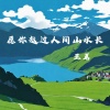 王茗 - 愿你越过人间山水长