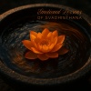 Chakra Healing Music Academy、Sacral Chakra Universe - Orange Light Rising