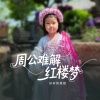 好好的姐姐 - 周公难解红楼梦 (儿童版)