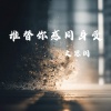 文思闵 - 谁替你感同身受