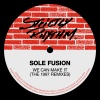 sole fusion - We Can Make It (House People Version)