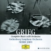 lilya zilberstein、gothenburg symphony orchestra、Neeme Järvi - Grieg: Piano Concerto in A Minor, Op. 16: I. Allegro molto moderato