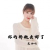 王小叶 - 你的骄傲去哪了