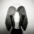 Bird - Ghost