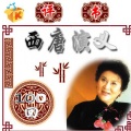 刘兰芳 - 048西唐演义