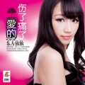 东方依依 - 爱的伤了痛了 (DJ杨杰)