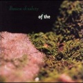 Illusion of Safety - Puer