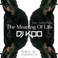 The Meaning Of Life (Subshock Remix)