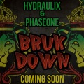 PhaseOne、Hydraulix - Bruk Down