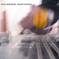 Oren Ambarchi - Guitar Motors